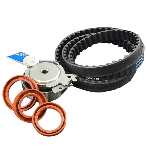 [1057209LP] Timing Belt Kit